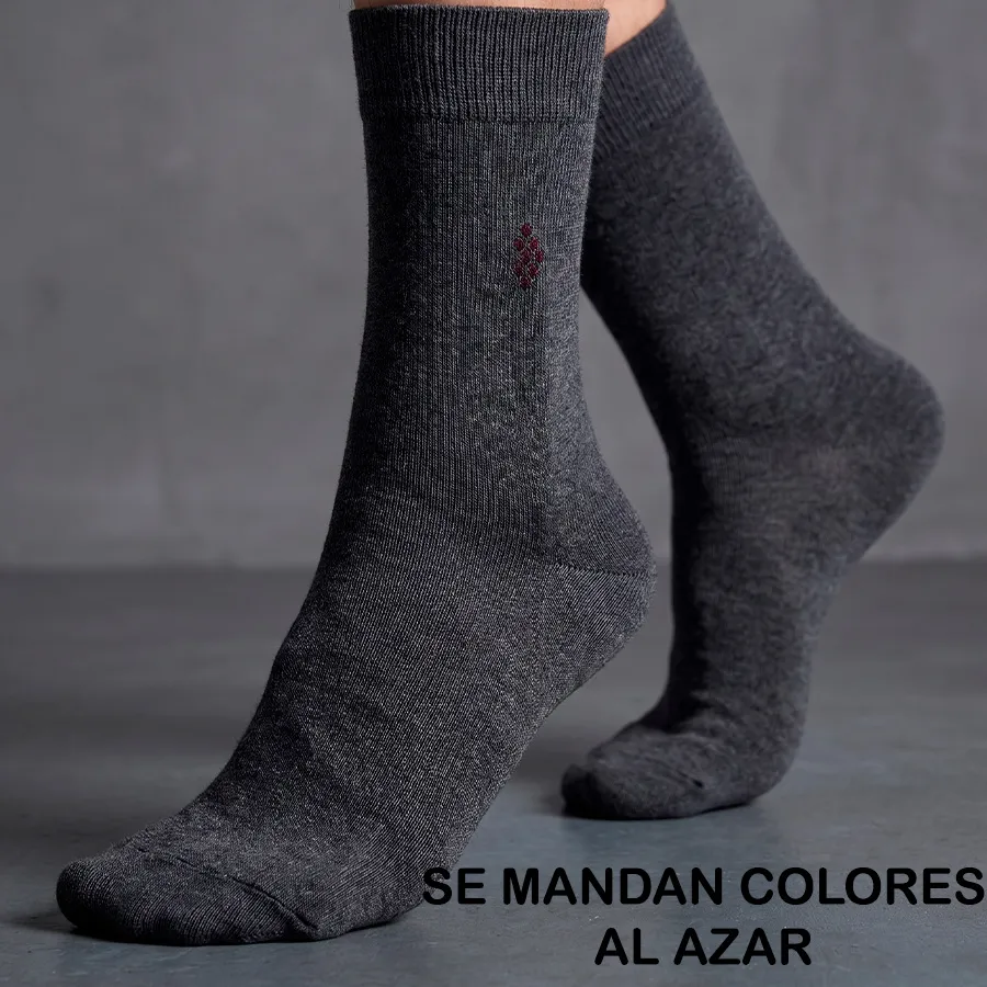 AT1006 EDICION 11896